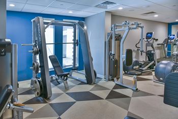 Fitness Center with Cardio and Strength Equipment